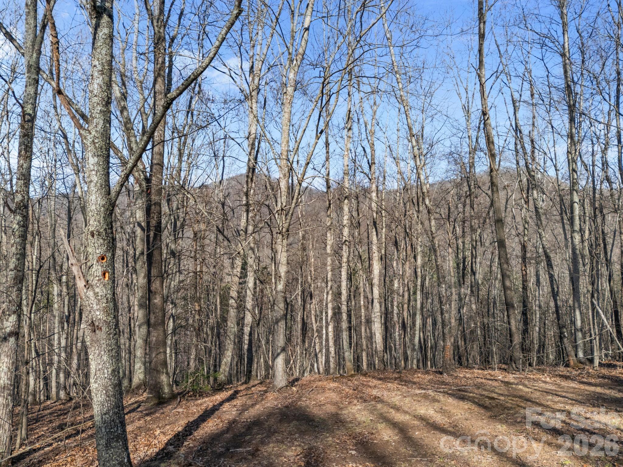 9999 Hidden Cove Road Property Photo 3