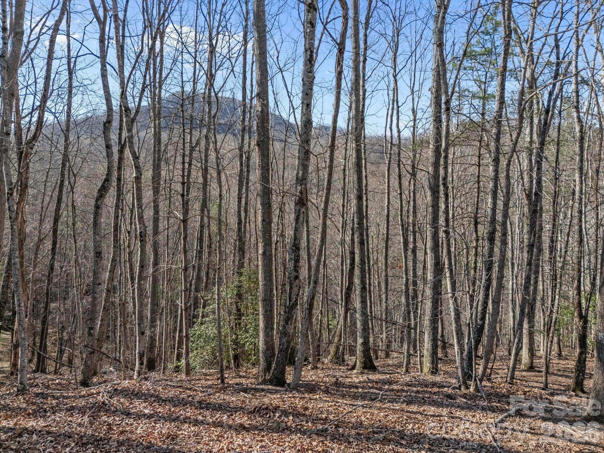 9999 Hidden Cove Road Property Photo 4