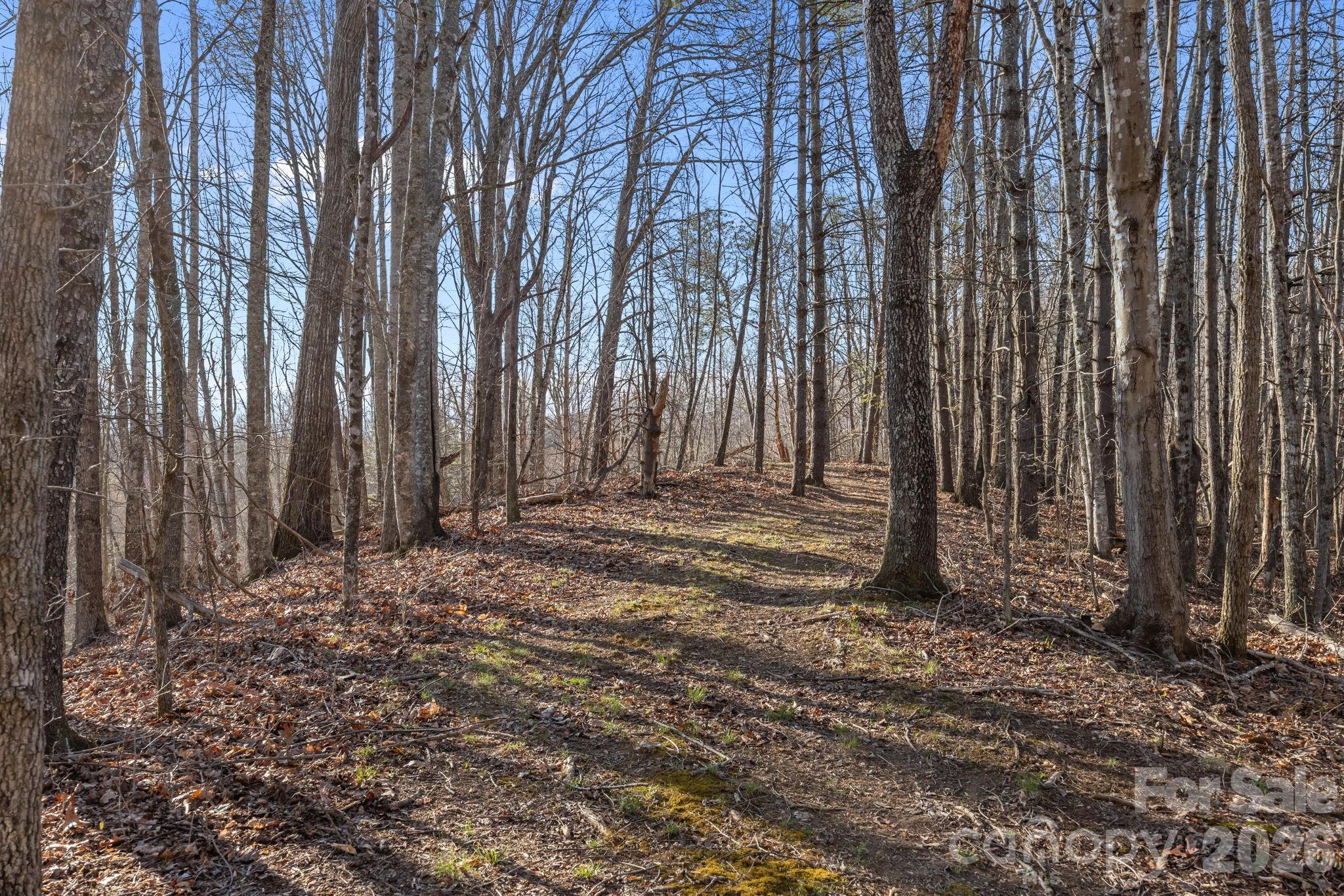 9999 Hidden Cove Road Property Photo 6