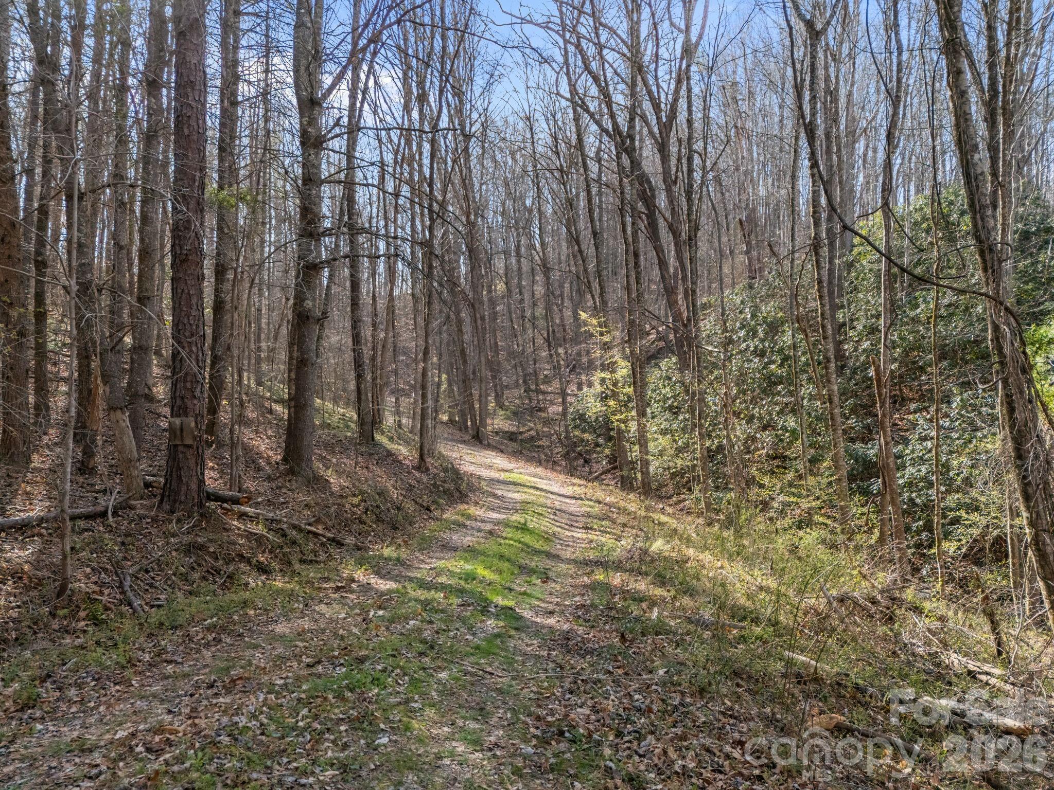 9999 Hidden Cove Road Property Photo 8