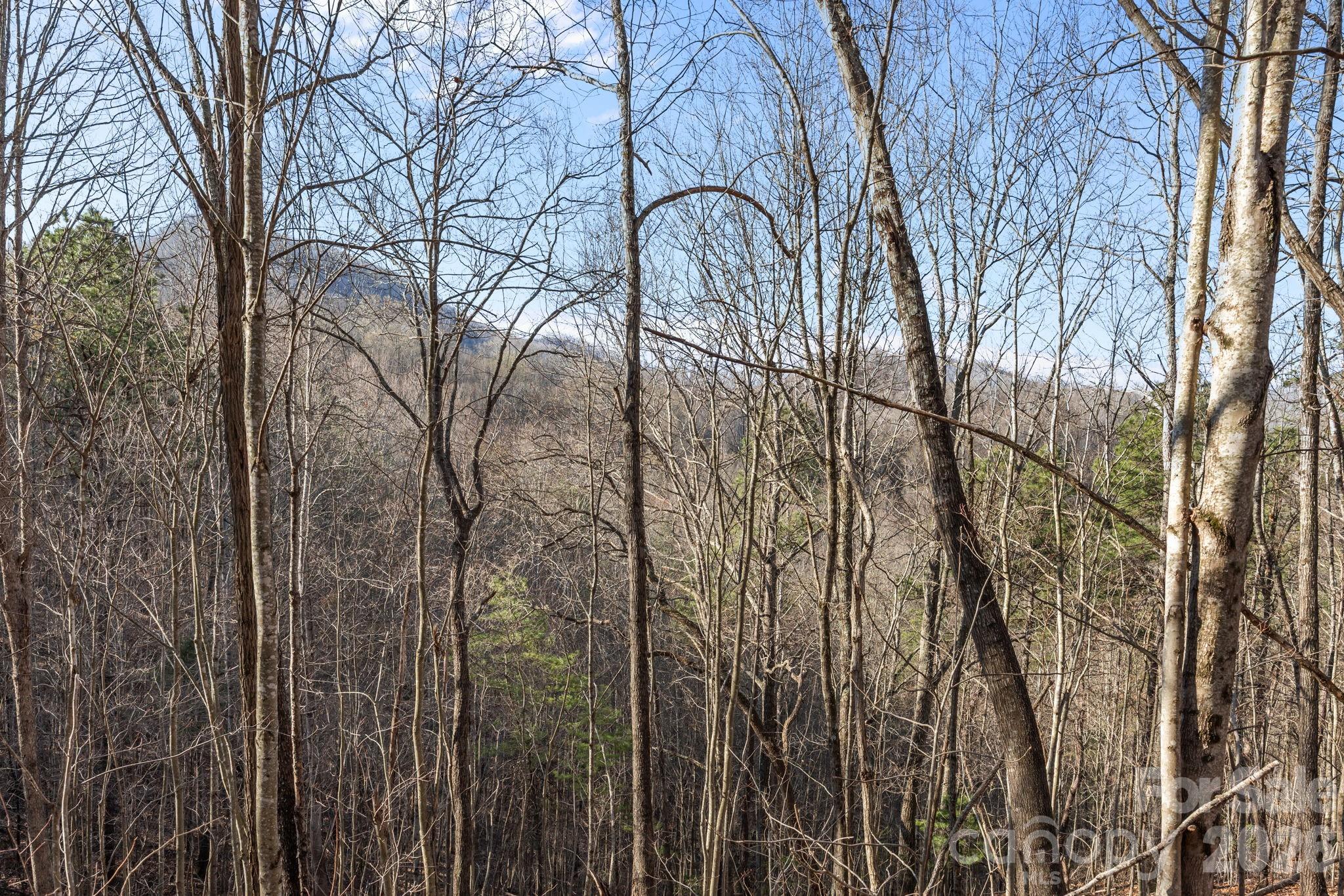 9999 Hidden Cove Road Property Photo 9