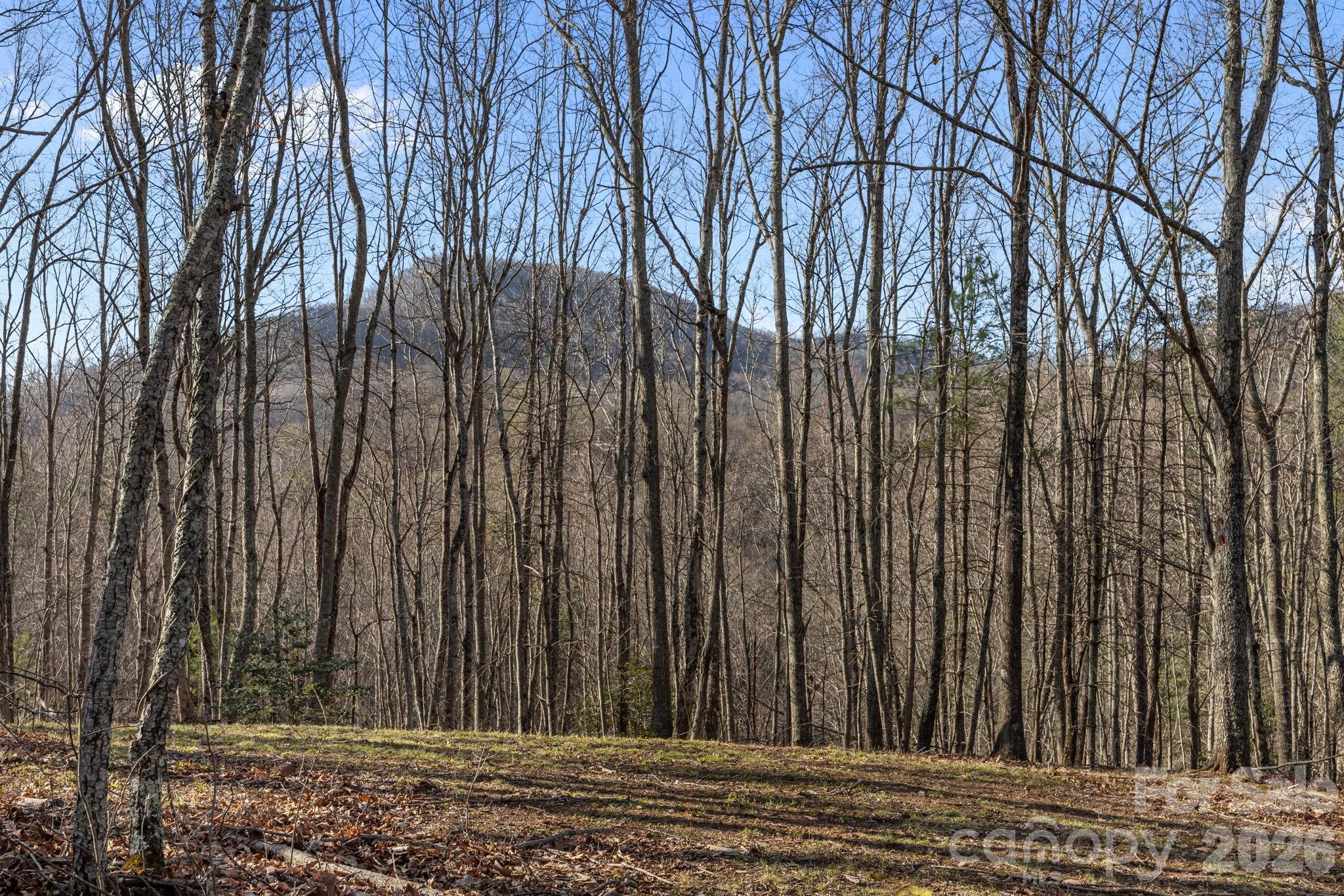 9999 Hidden Cove Road Property Photo 11