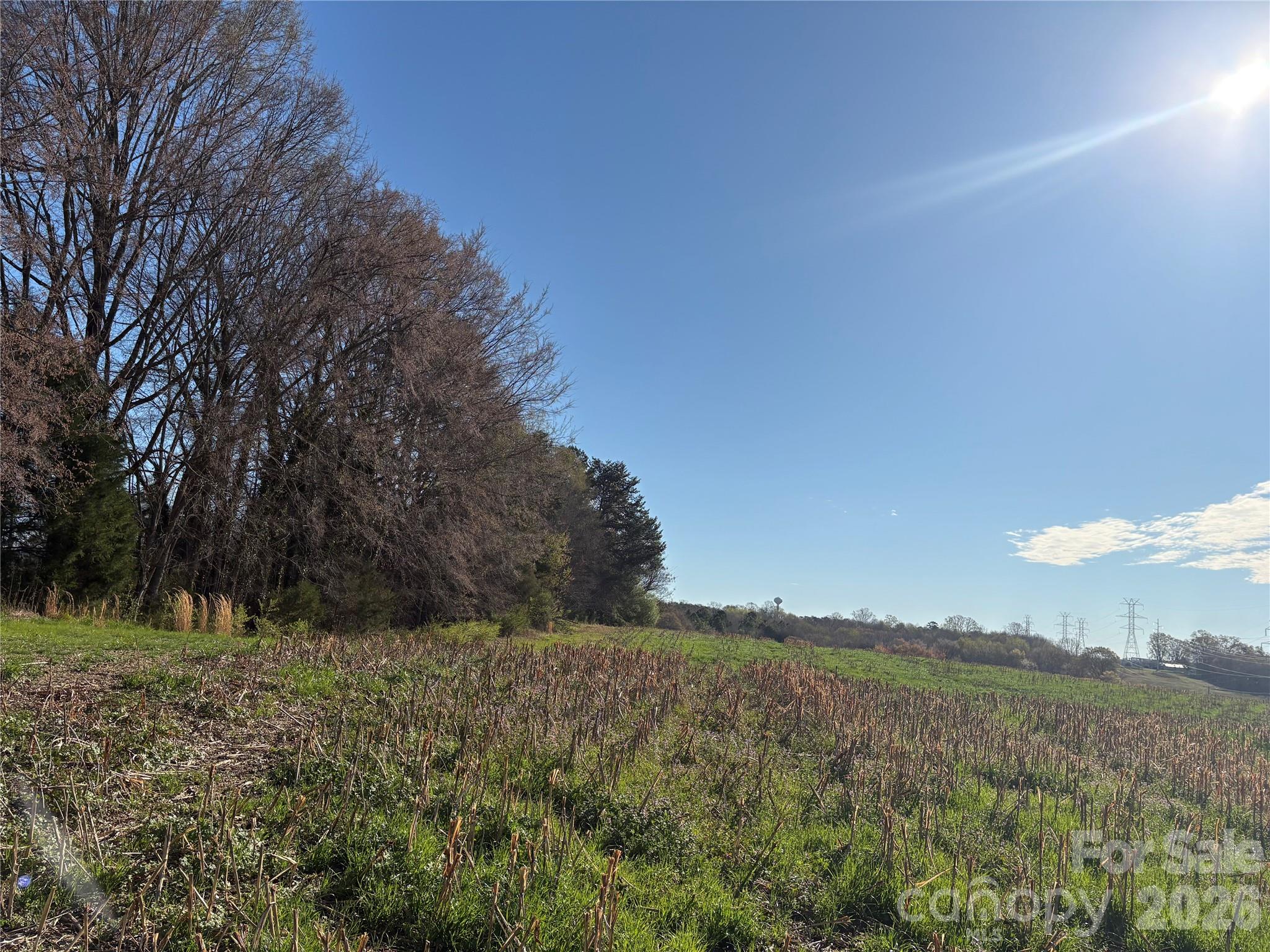 0000 Silver Road Property Photo 8