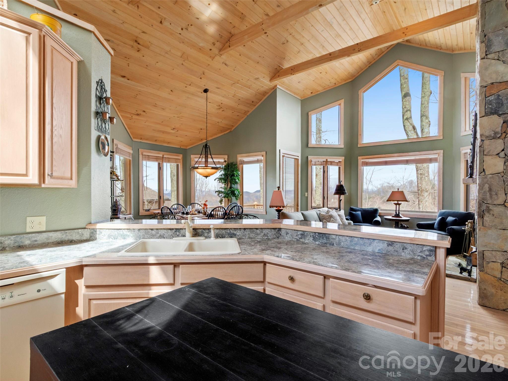 2163 Mountain Air Drive Property Photo 15