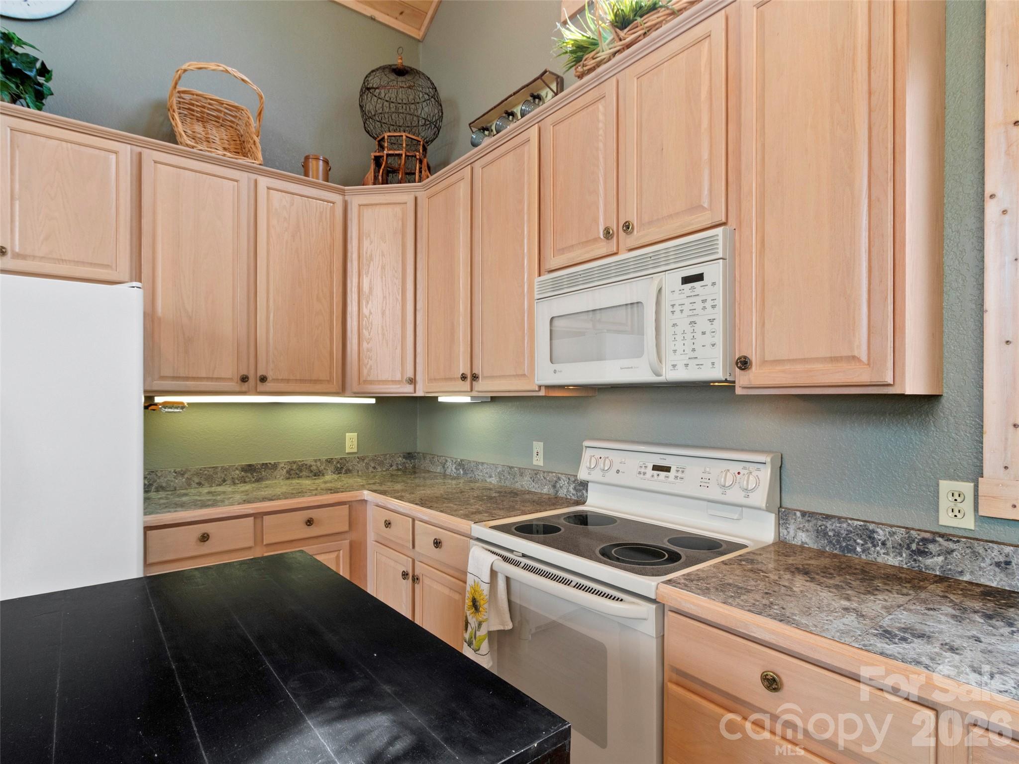 2163 Mountain Air Drive Property Photo 16