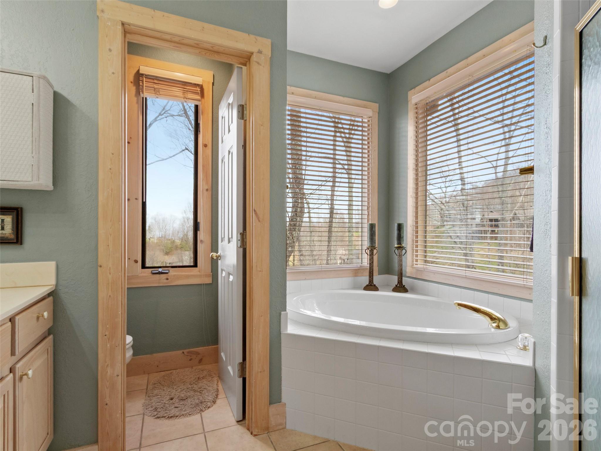 2163 Mountain Air Drive Property Photo 22