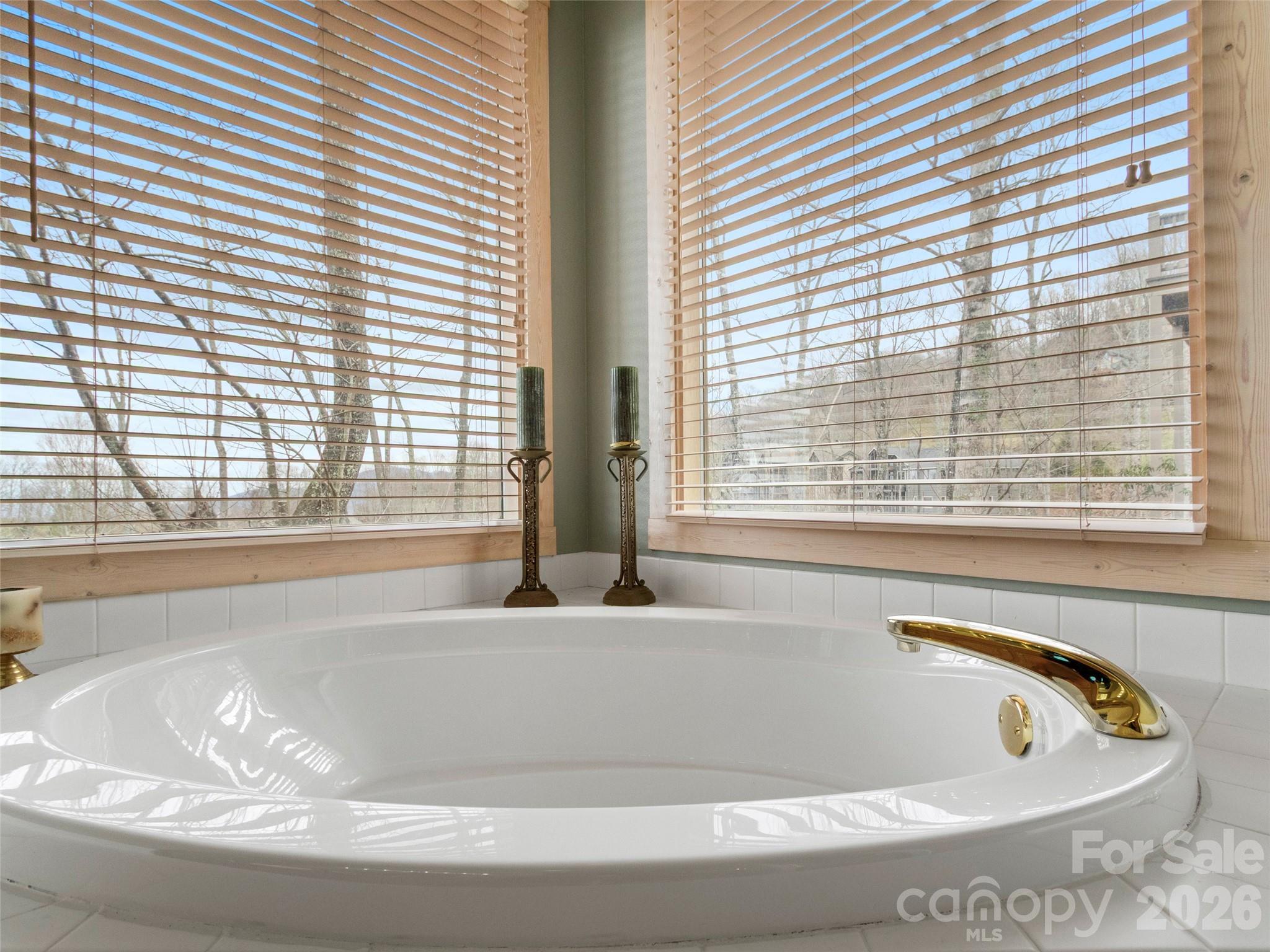 2163 Mountain Air Drive Property Photo 23