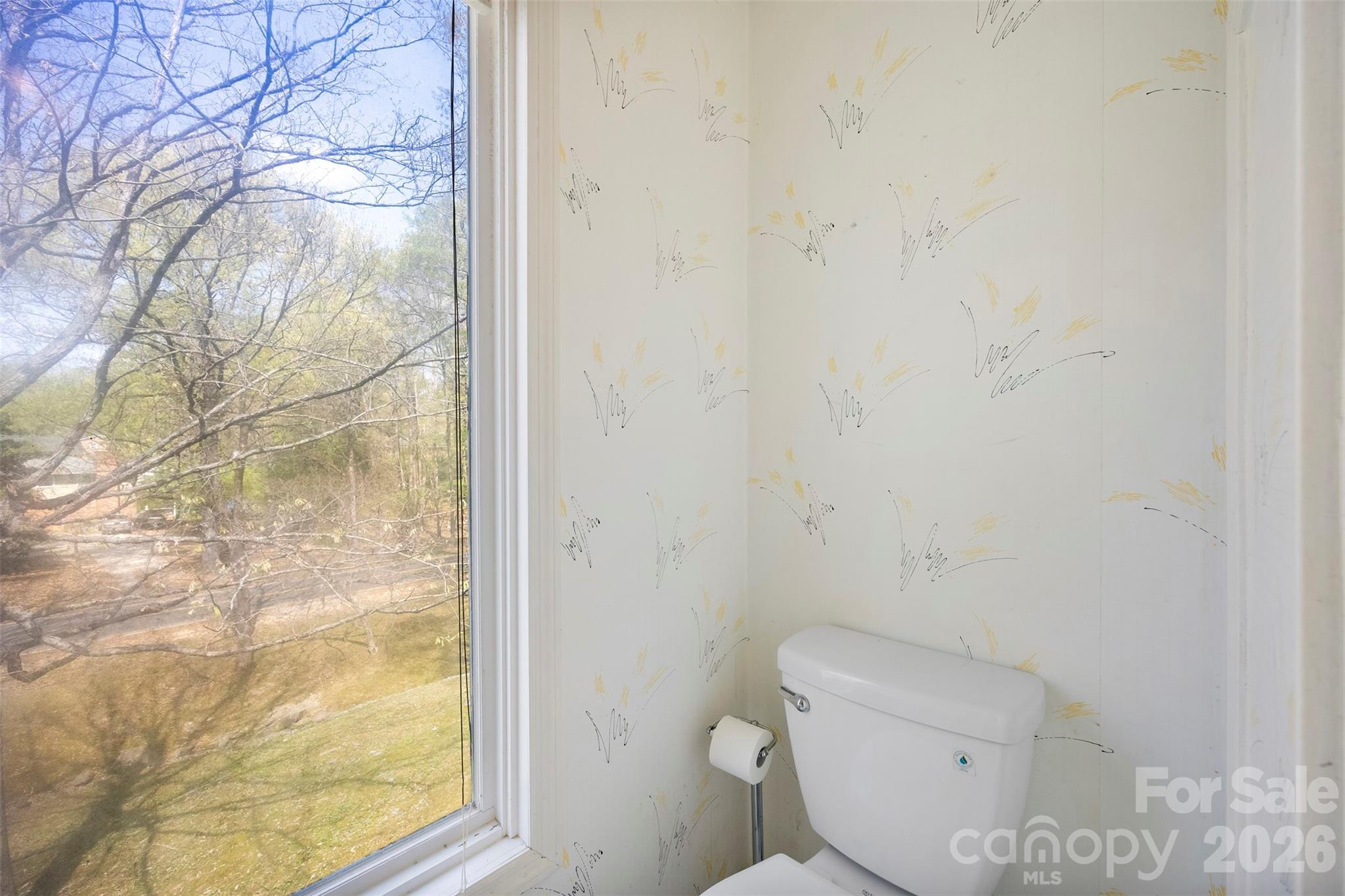 501 Mountainbrook Road Property Photo 32