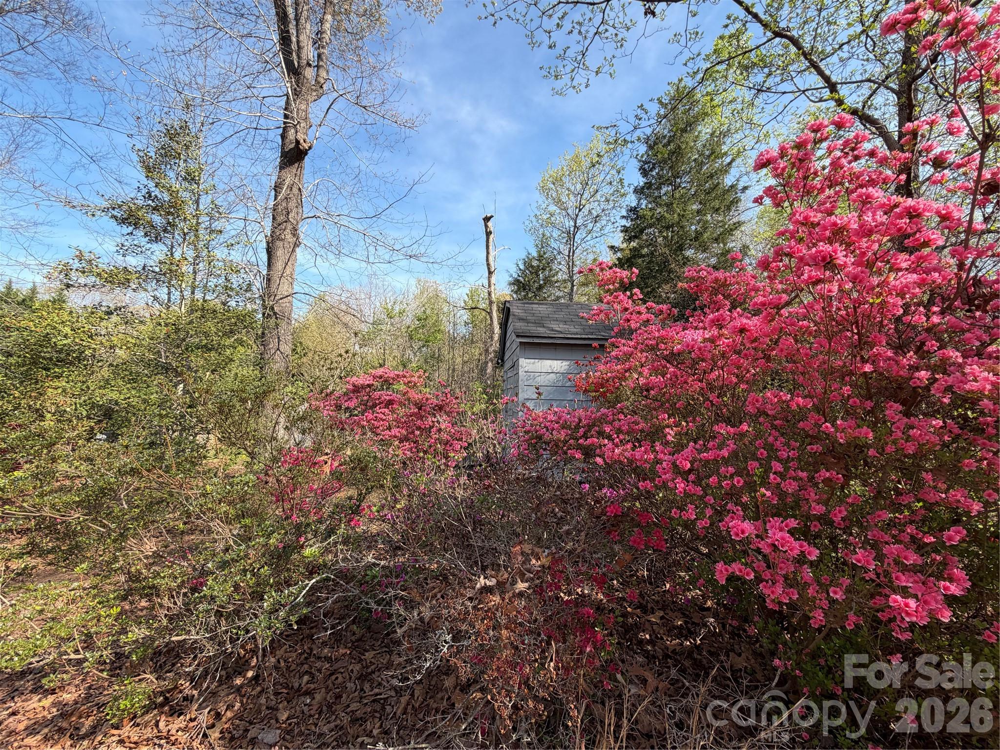 1270 Lilly Drive Property Photo 33