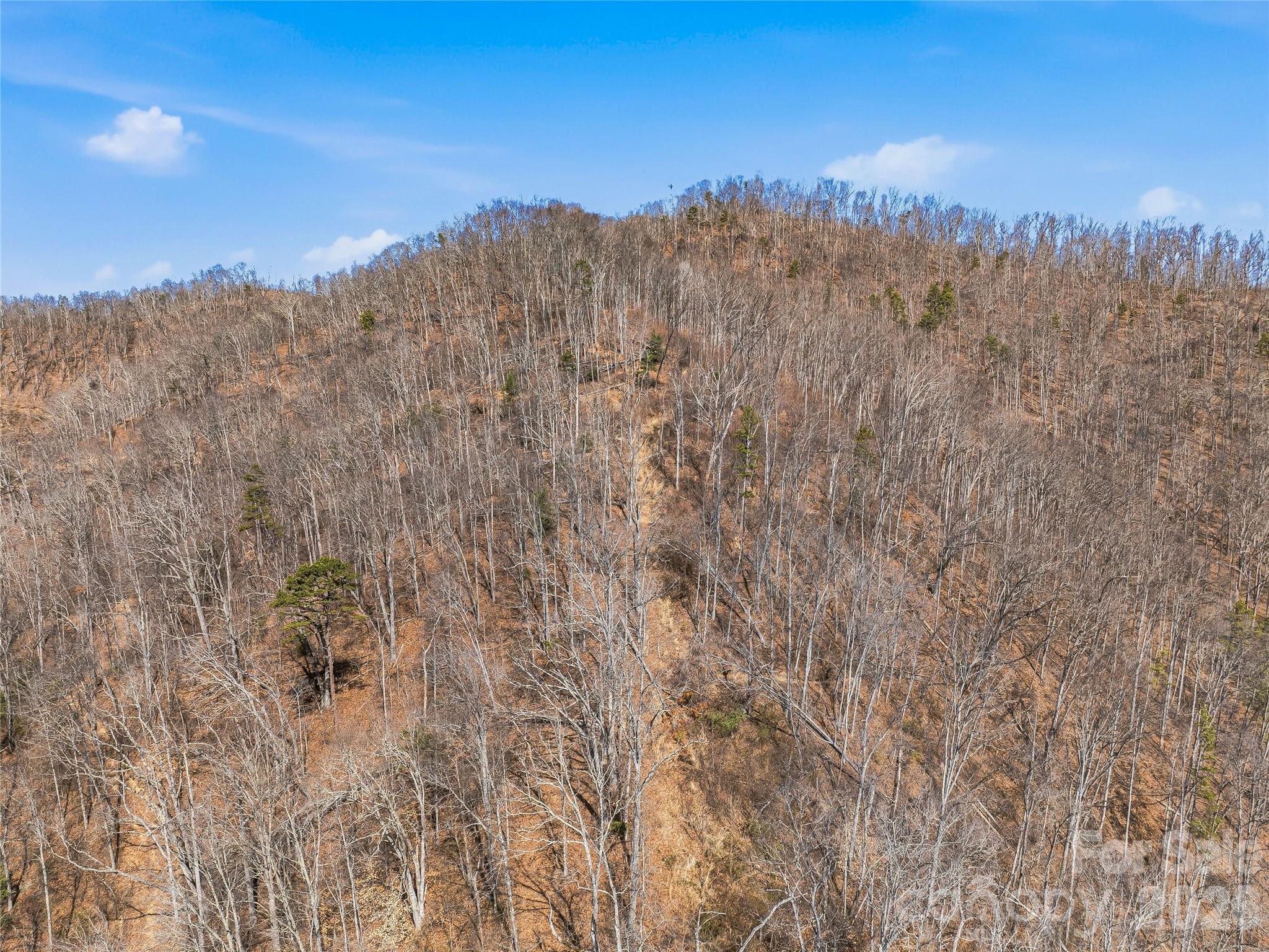 182 Whittemore Branch Road Property Photo 44