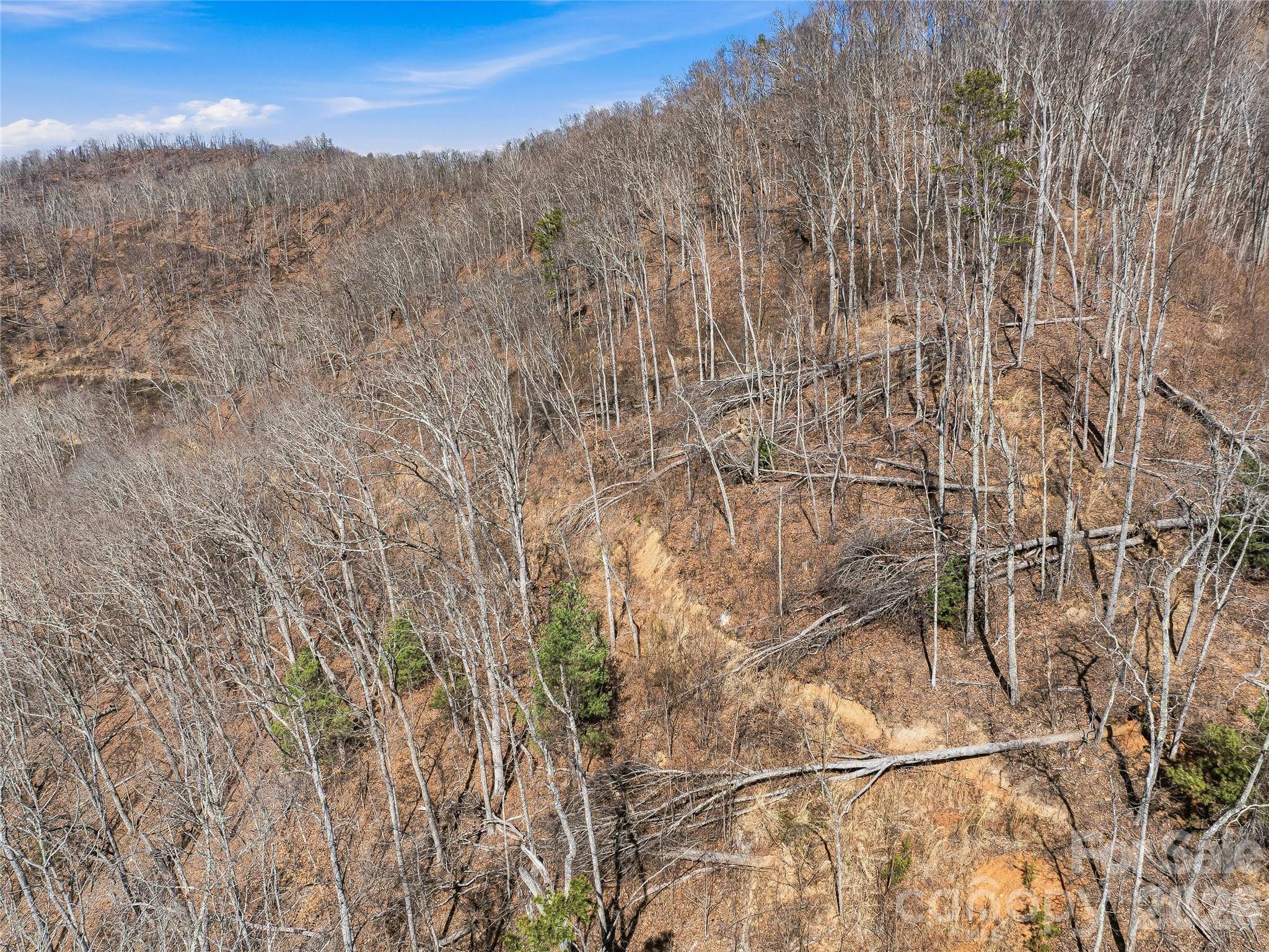 182 Whittemore Branch Road Property Photo 45