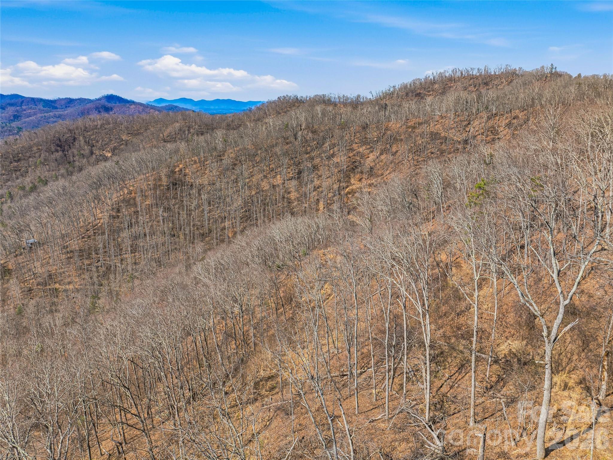 182 Whittemore Branch Road Property Photo 46