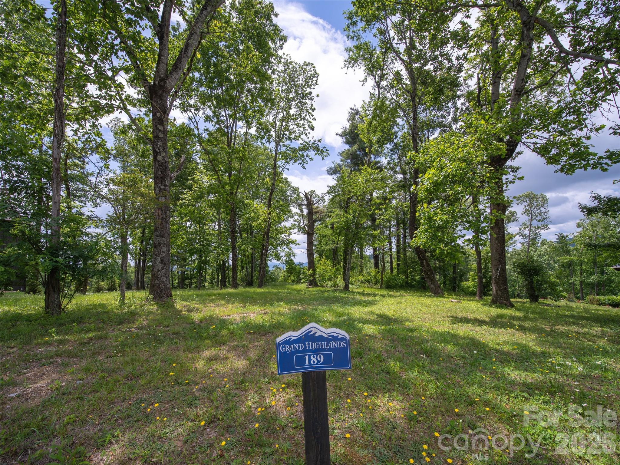 189 Dancing Bear Drive Property Photo 8