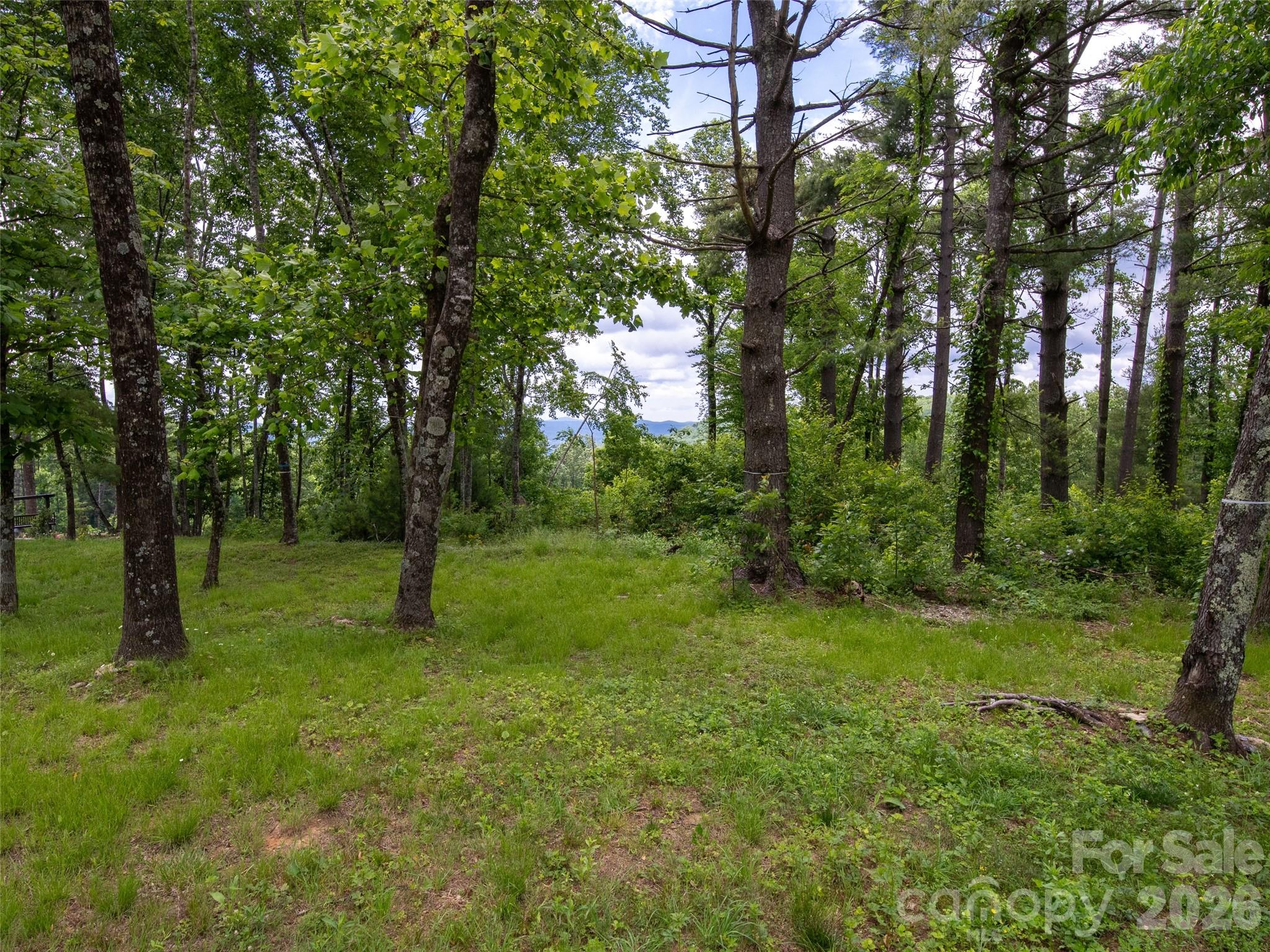 189 Dancing Bear Drive Property Photo 11