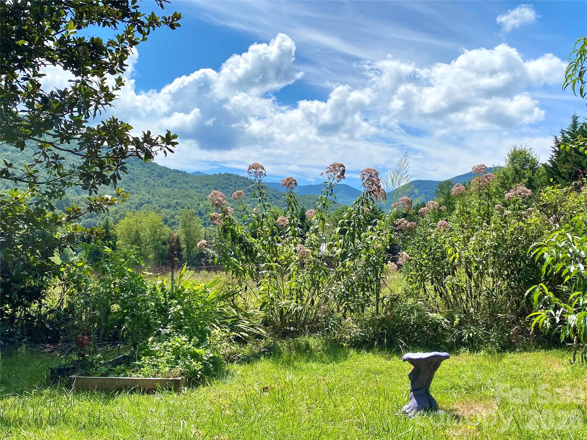 3 Taproot Trail Property Photo 19