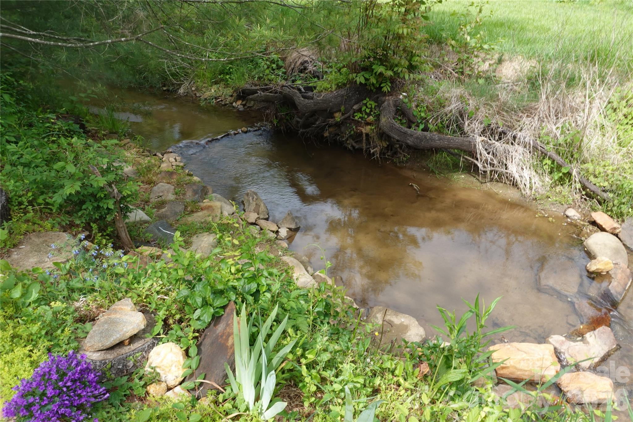 3 Taproot Trail Property Photo 32