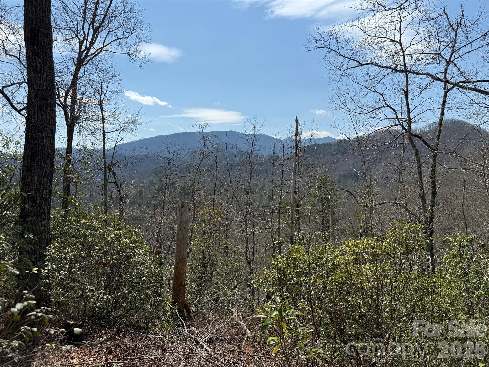 128 Mamies Way Property Photo 1