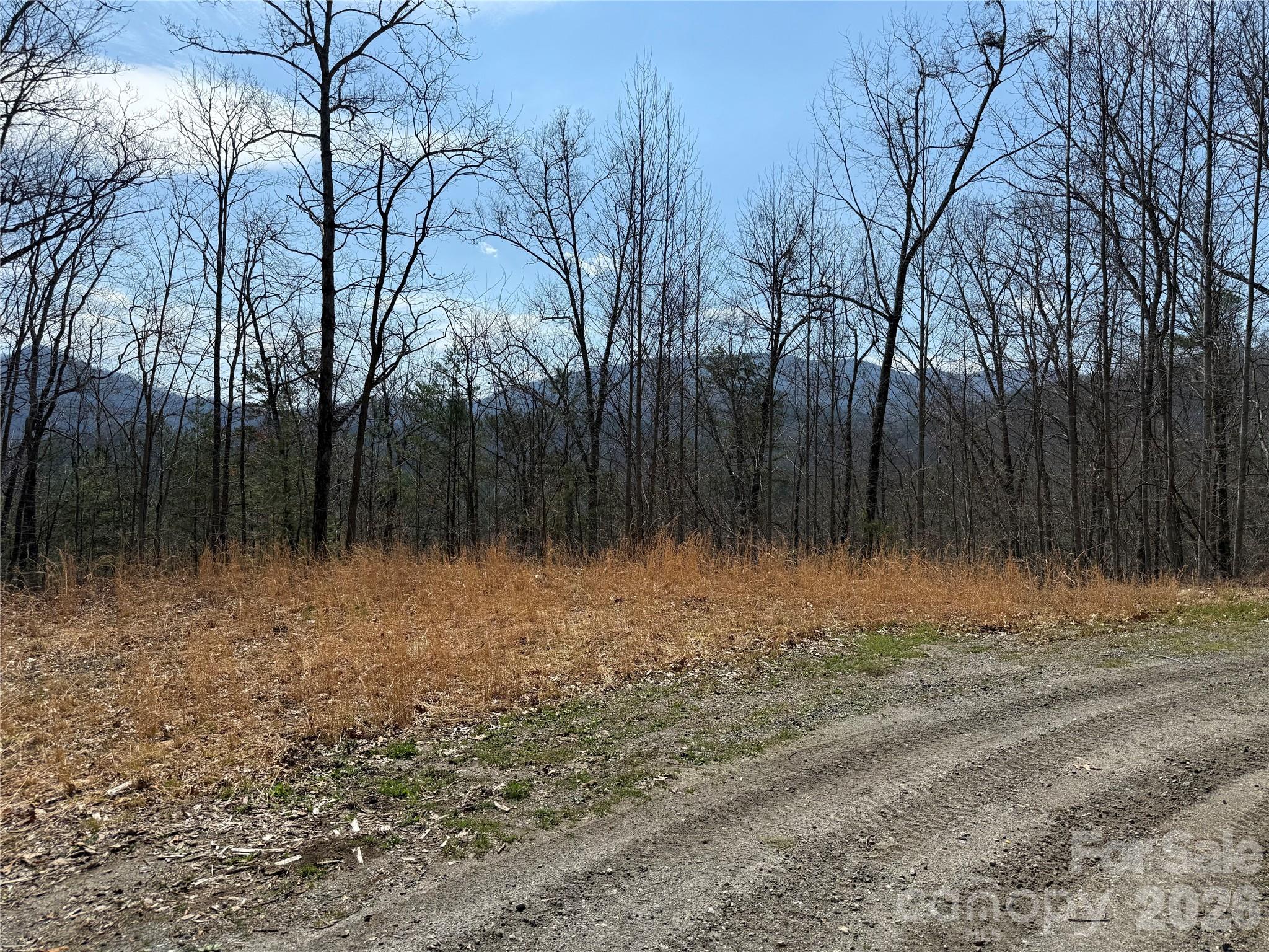 128 Mamies Way Property Photo 10