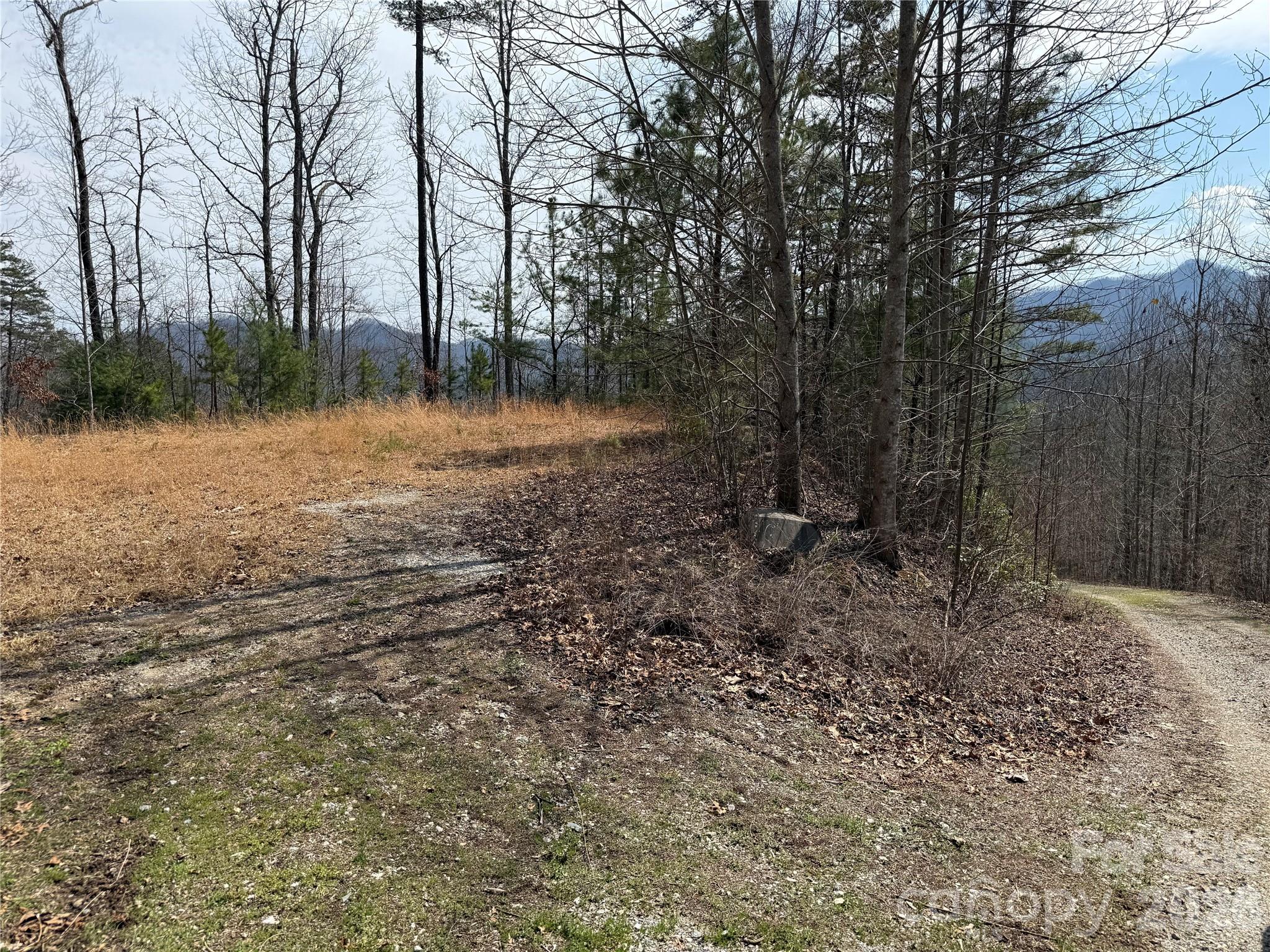 128 Mamies Way Property Photo 12