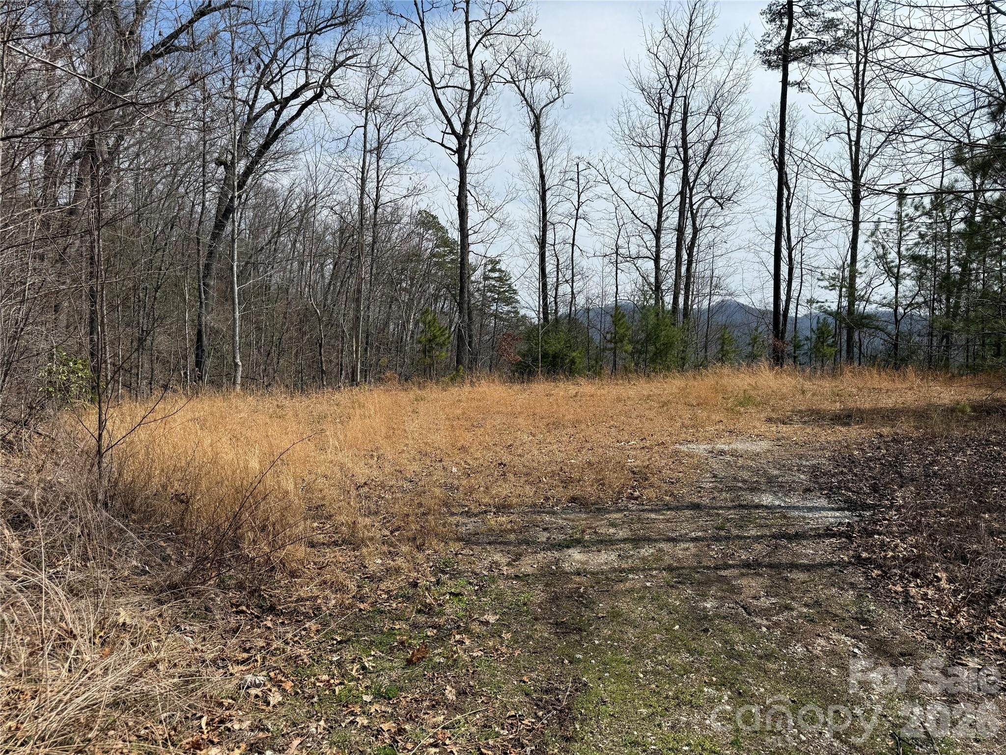 128 Mamies Way Property Photo 13