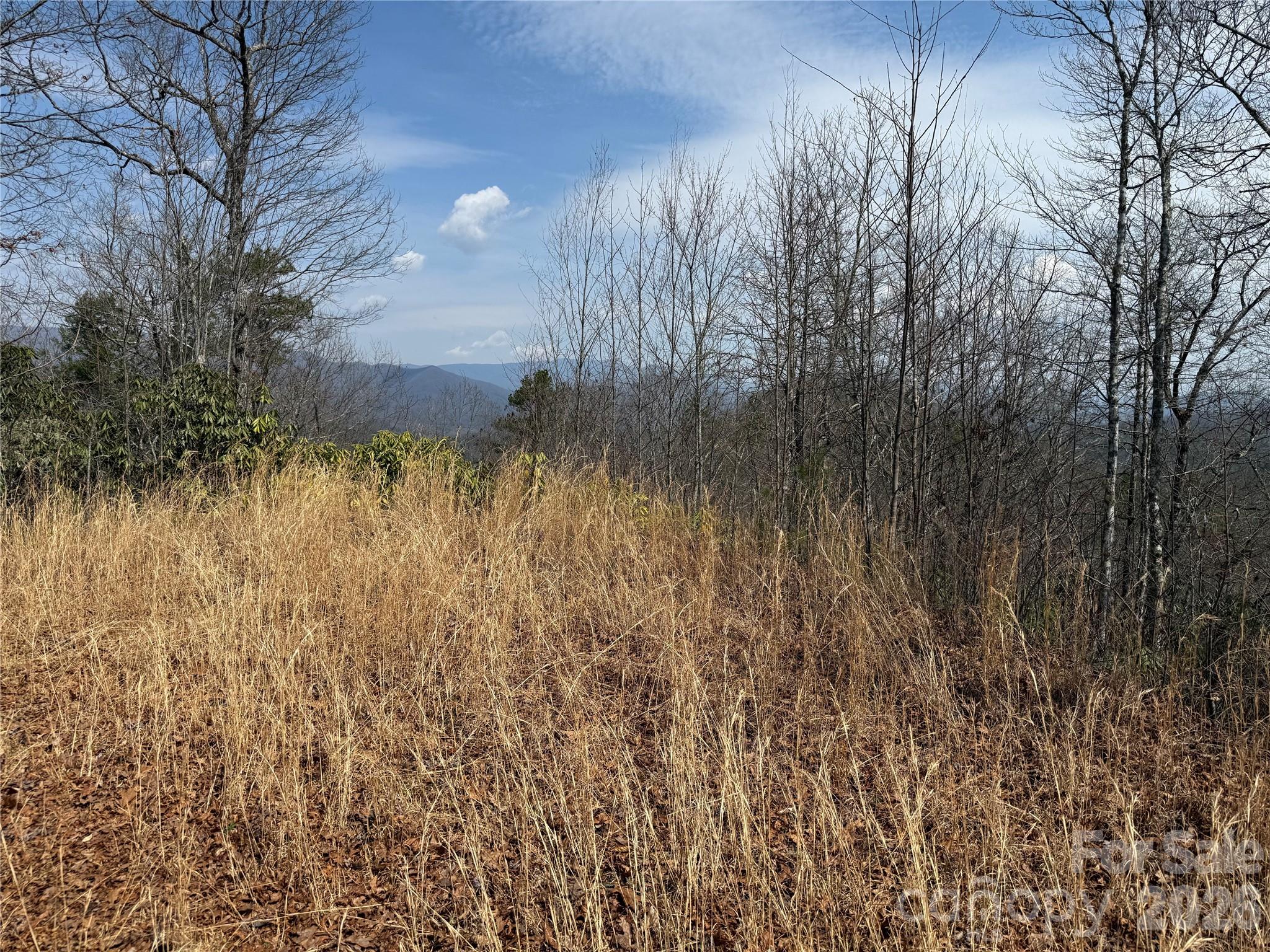 128 Mamies Way Property Photo 15