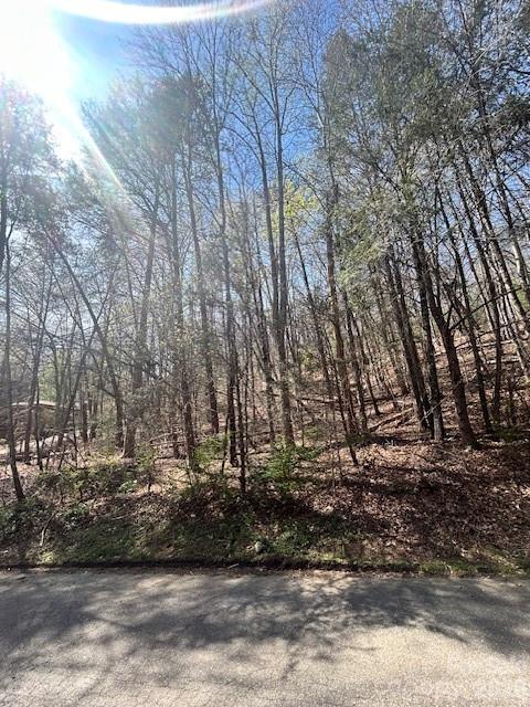 Lot 51 Fairway Drive 51 Property Photo 1