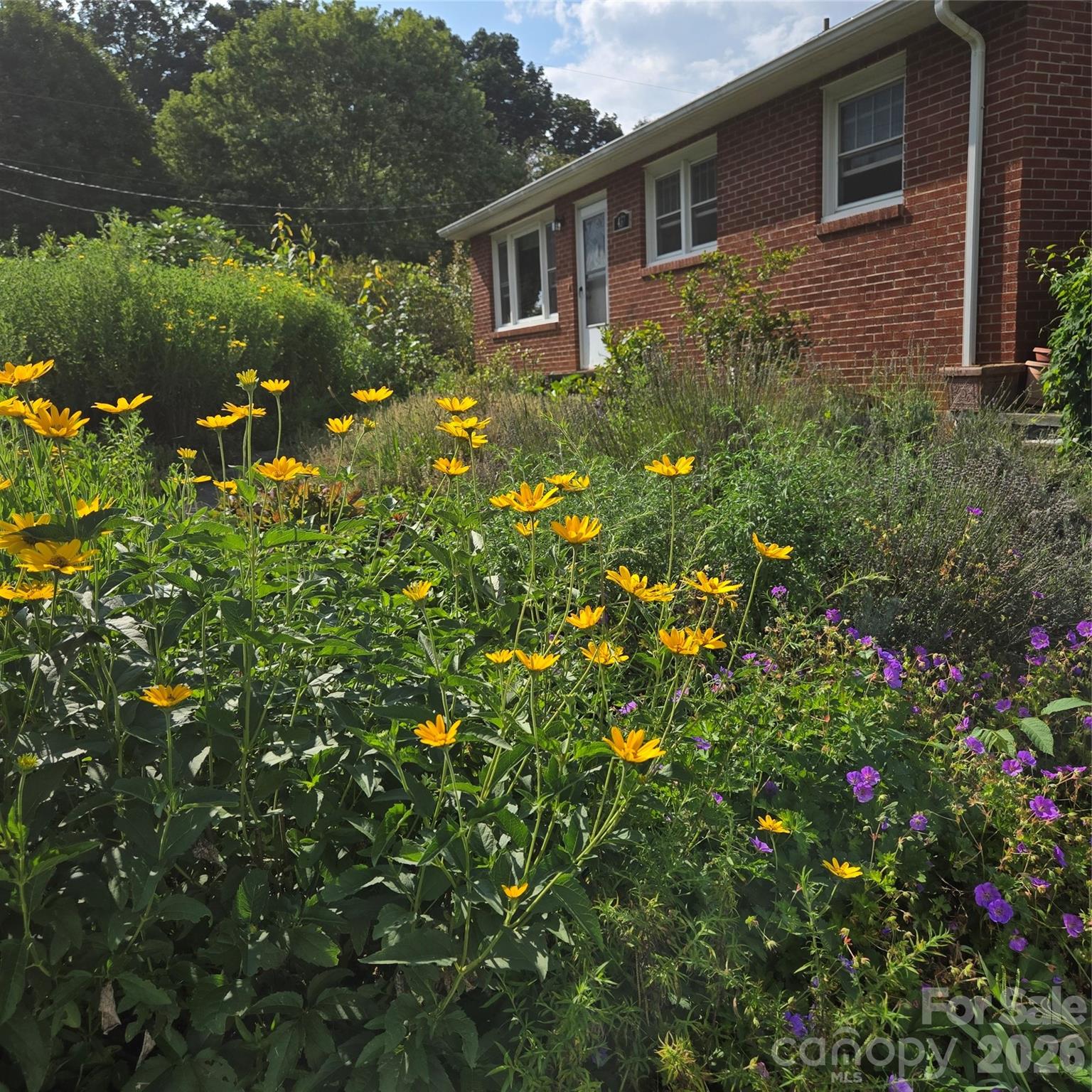 437 Onteora Boulevard Property Photo 4