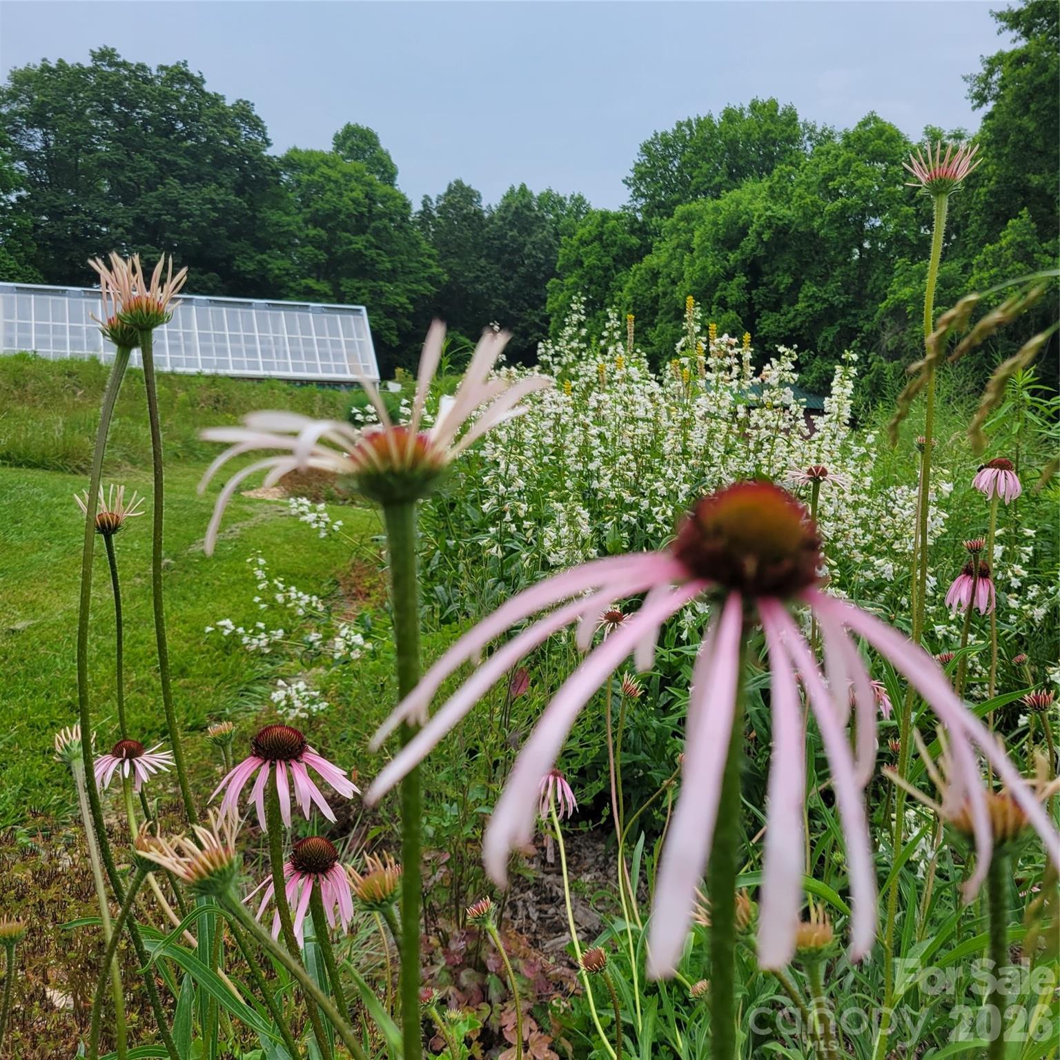 437 Onteora Boulevard Property Photo 29