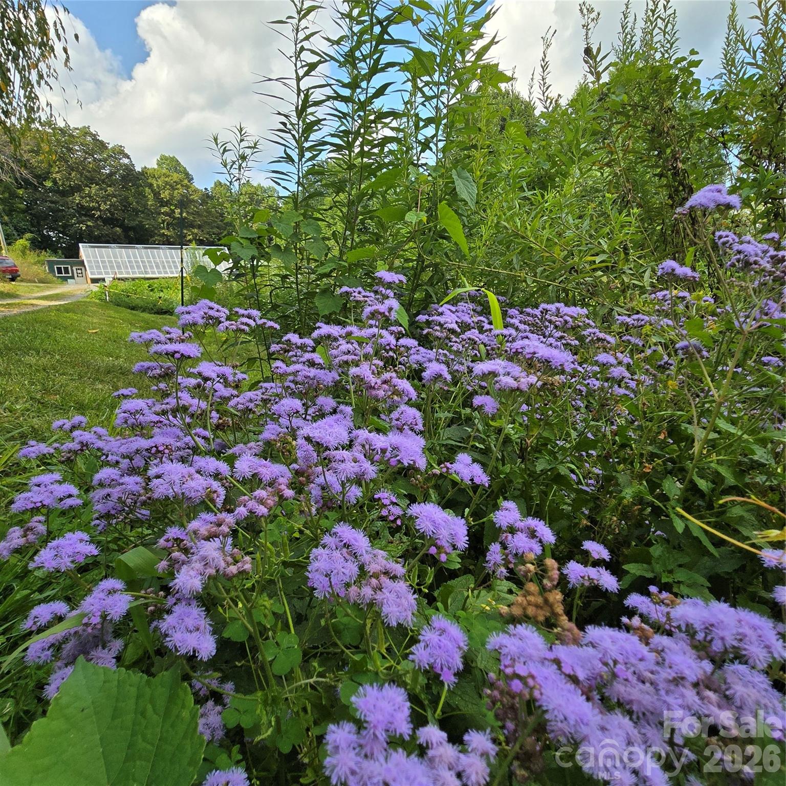 437 Onteora Boulevard Property Photo 32