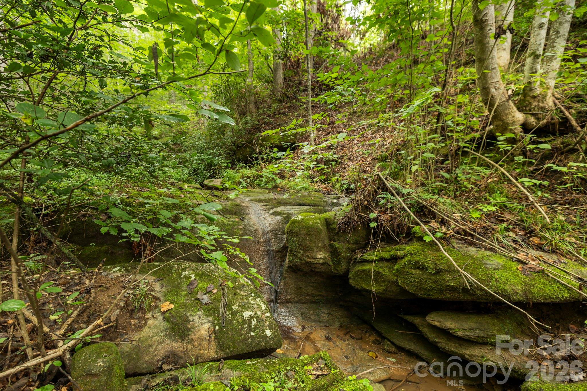 6080 Us 64/74a Highway Property Photo 16