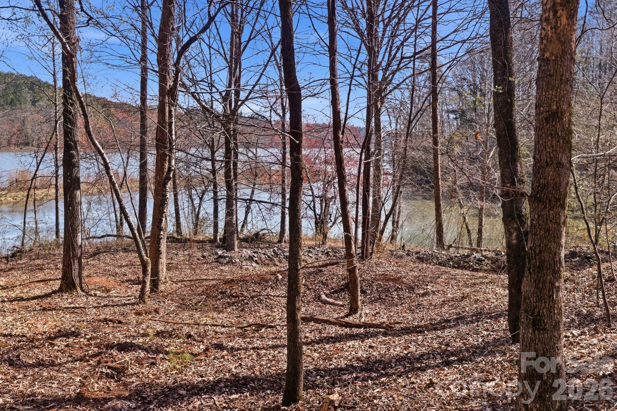199 Table Rock Trace 130 Property Photo 2
