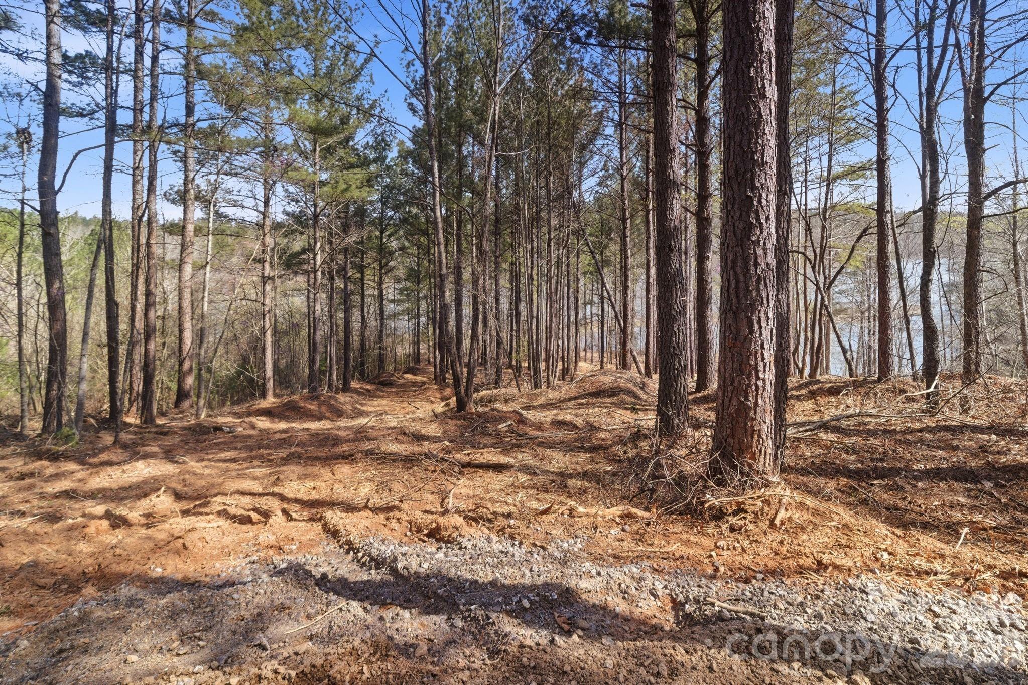 199 Table Rock Trace 130 Property Photo 4
