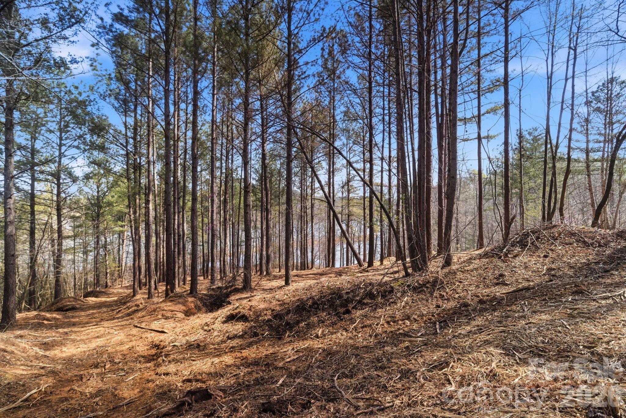 199 Table Rock Trace 130 Property Photo 5