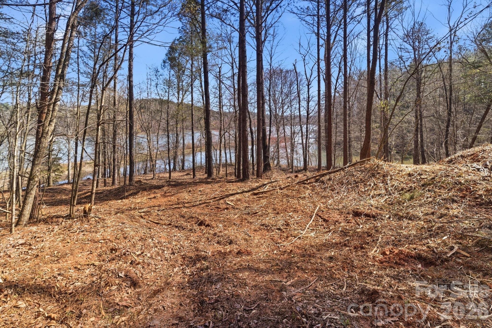 199 Table Rock Trace 130 Property Photo 6