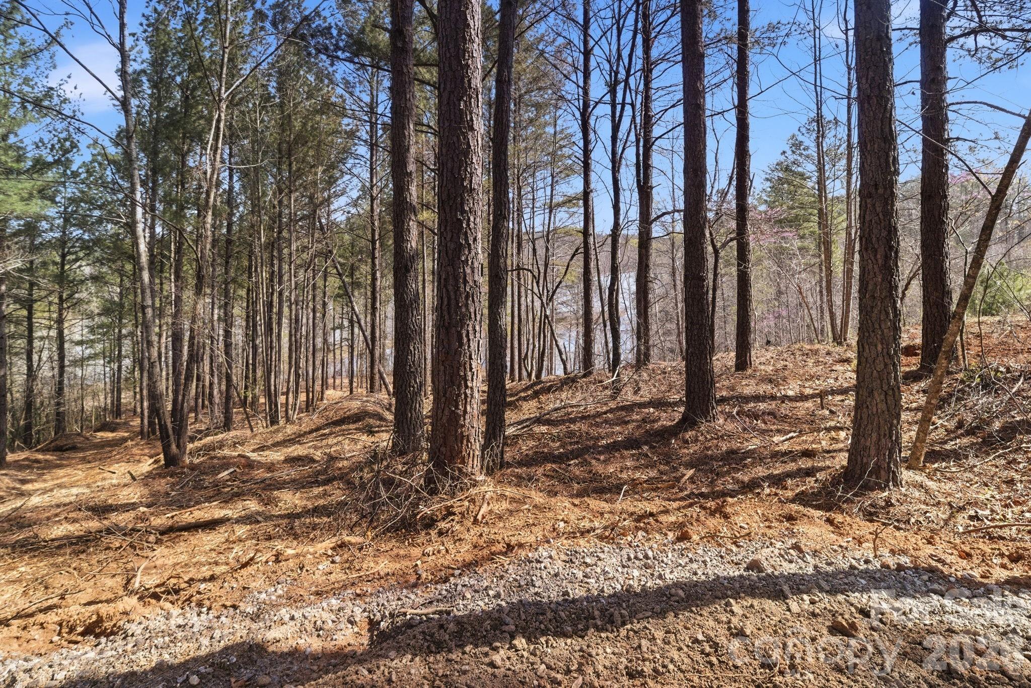 199 Table Rock Trace 130 Property Photo 7