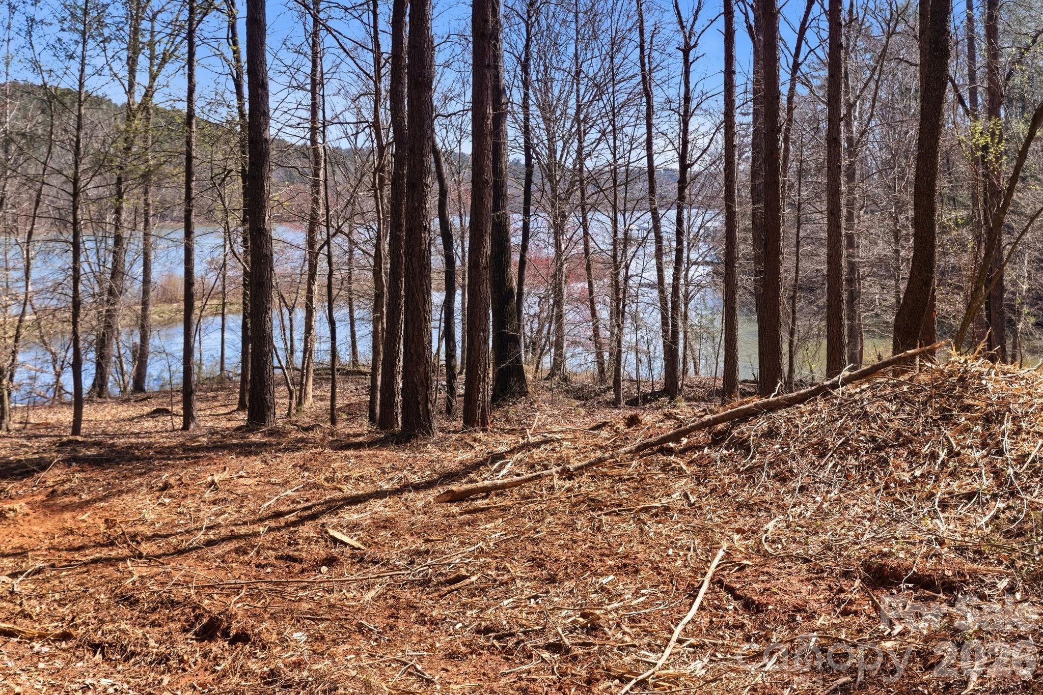 199 Table Rock Trace 130 Property Photo 8