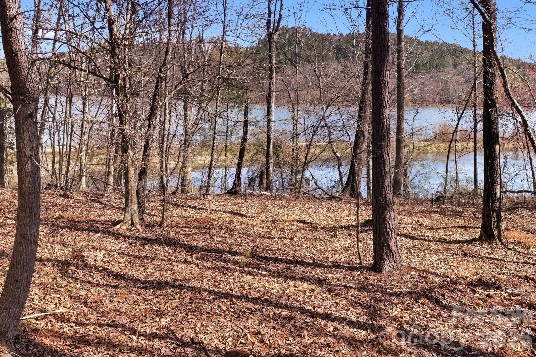 199 Table Rock Trace 130 Property Photo 9