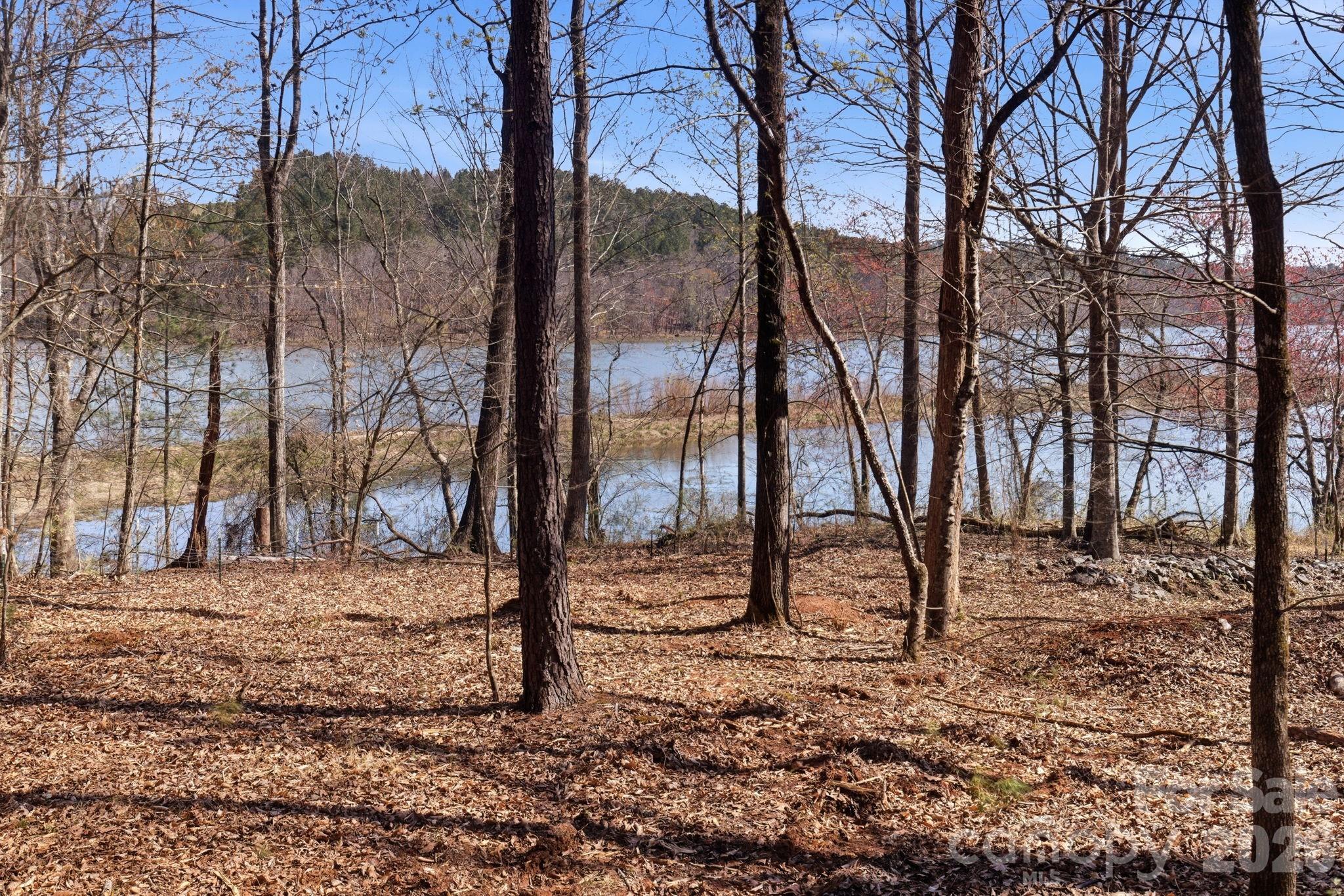 199 Table Rock Trace 130 Property Photo 10