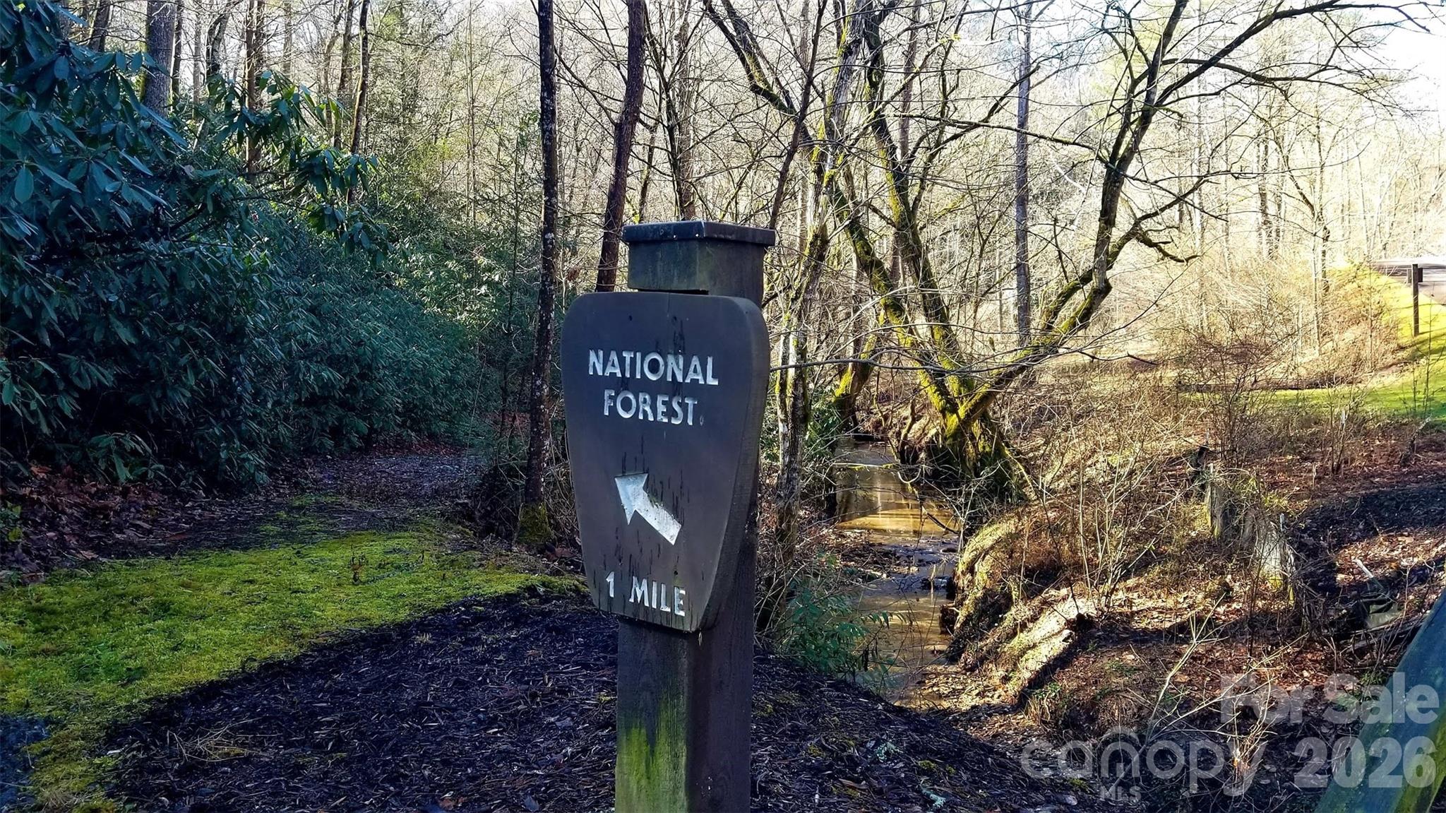 10 Acres Tahoe Trail Property Photo 4