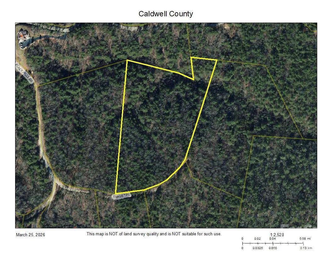 10 Acres Tahoe Trail Property Photo 12