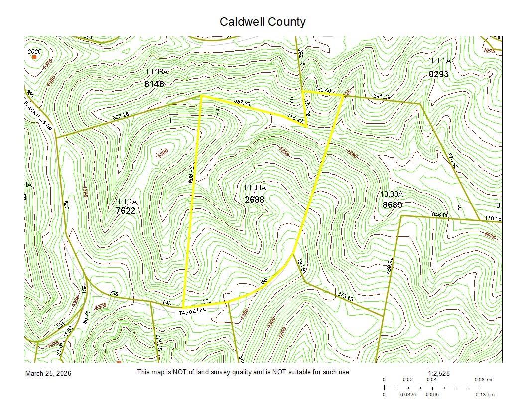 10 Acres Tahoe Trail Property Photo 14
