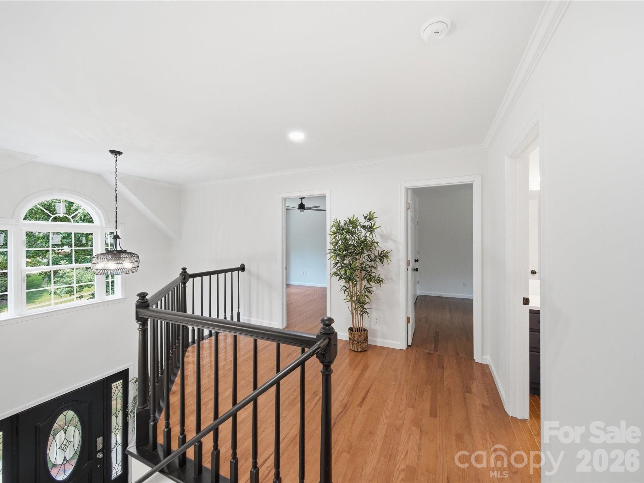 3919 Cherrybrook Drive Property Photo 19