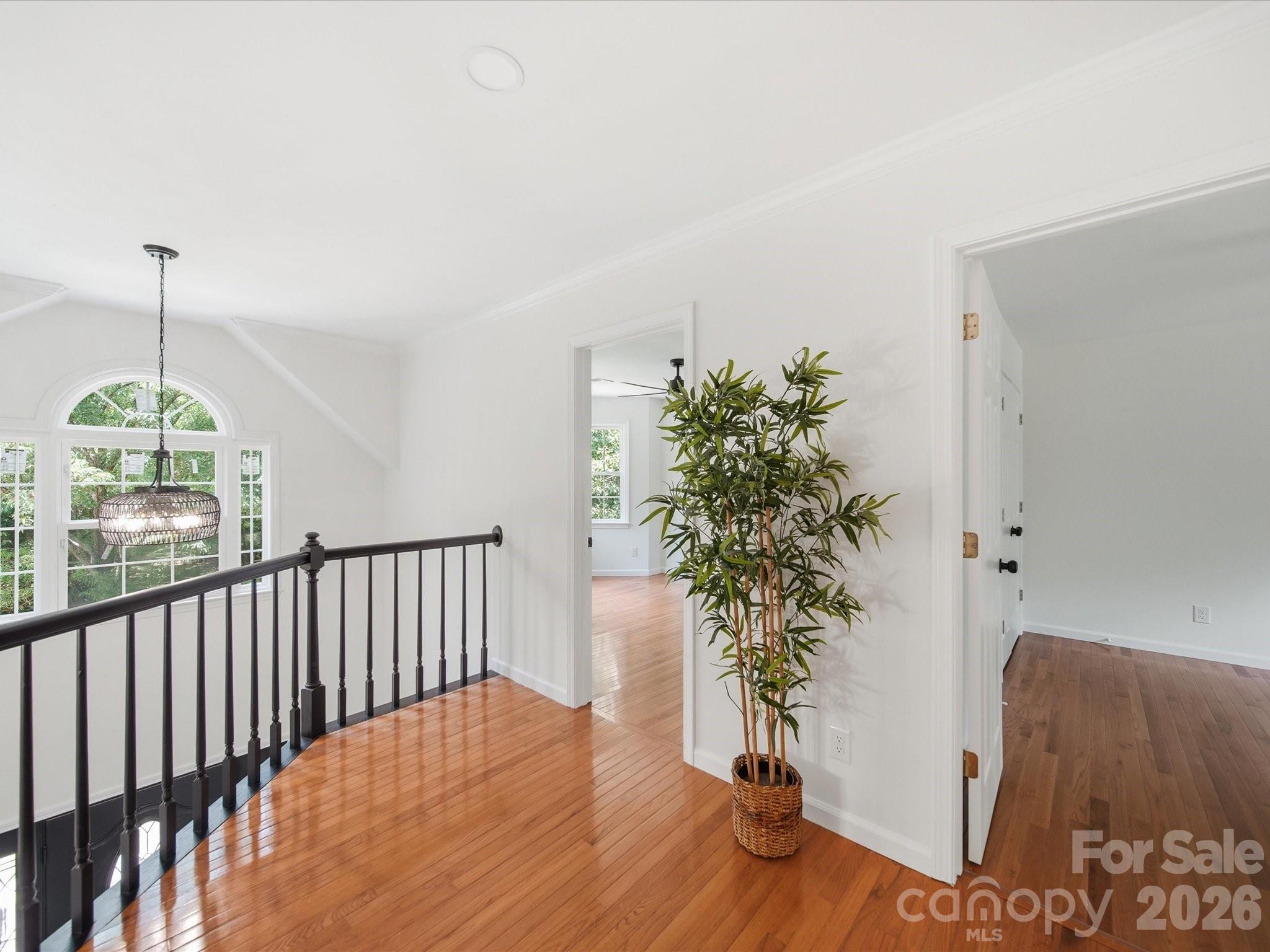 3919 Cherrybrook Drive Property Photo 33