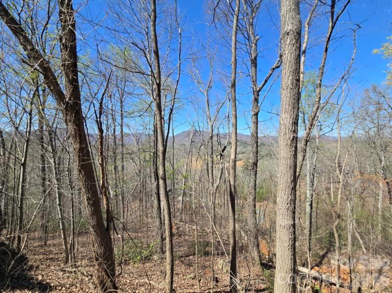 600 High Pines Loop Property Photo 17