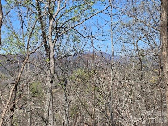 600 High Pines Loop Property Photo 18
