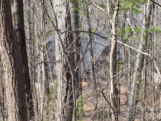 600 High Pines Loop Property Photo 20