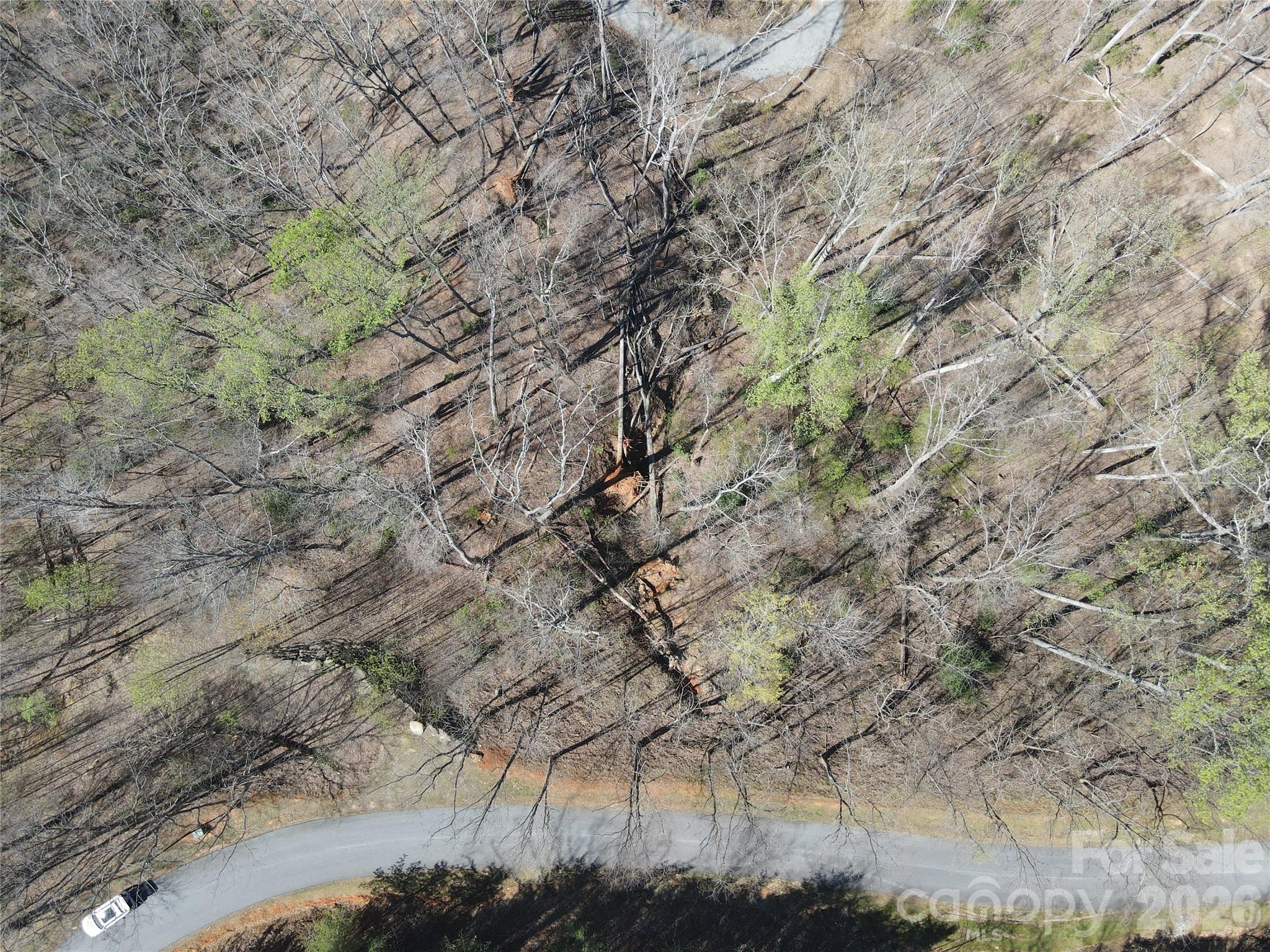600 High Pines Loop Property Photo 26