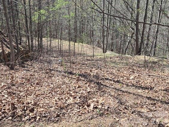 600 High Pines Loop Property Photo 28
