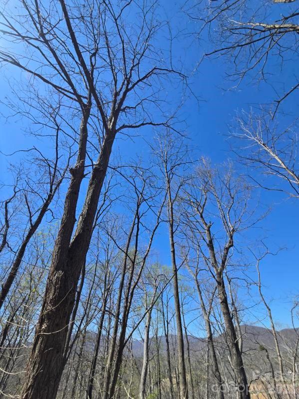 600 High Pines Loop Property Photo 31