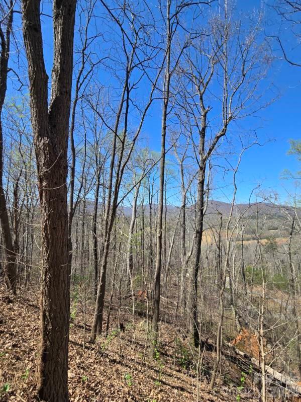 600 High Pines Loop Property Photo 32